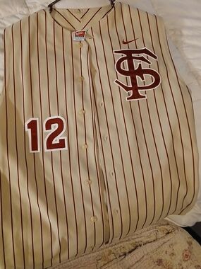 Nike Fsu Seminole Rare Pinstripe Baseball Team Issued Jersey. Home Sunday Gold